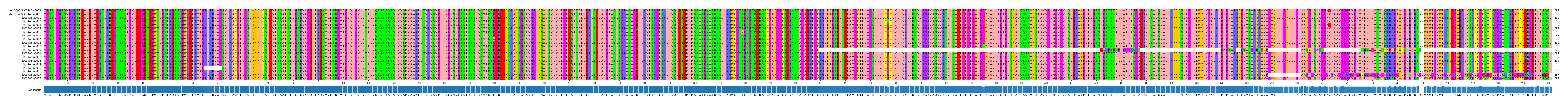 Multiple Alignments (by translate haplotype frequency)