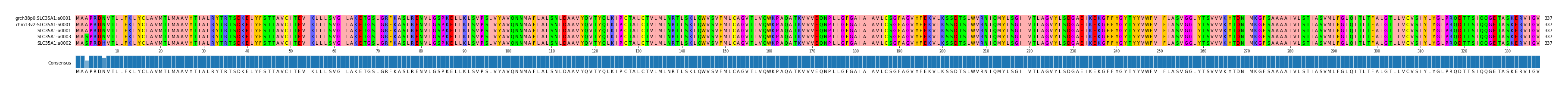 Multiple Alignments (by translate haplotype similarity)