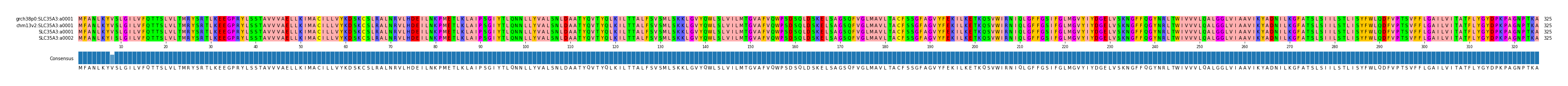 Multiple Alignments (by translate haplotype similarity)