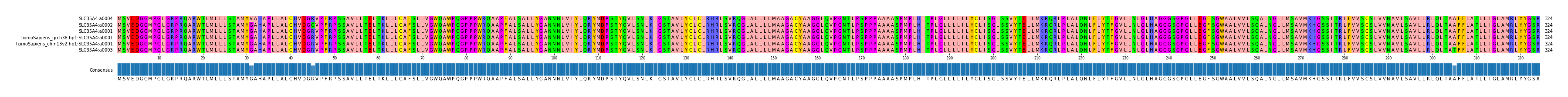 Multiple Alignments (by translate haplotype similarity)