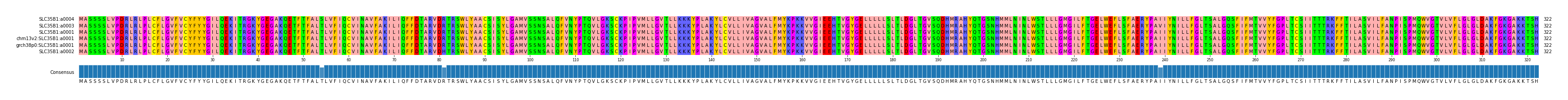 Multiple Alignments (by translate haplotype similarity)
