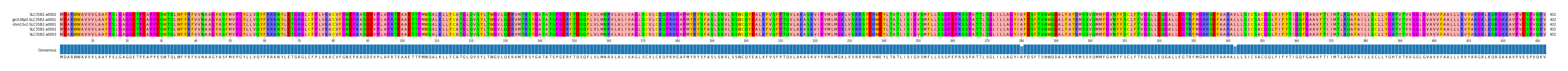 Multiple Alignments (by translate haplotype similarity)