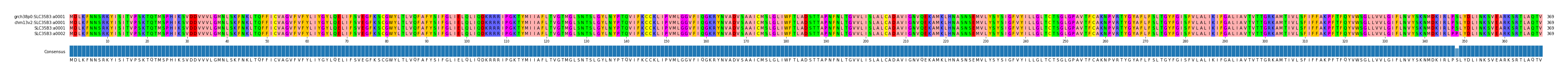 Multiple Alignments (by translate haplotype similarity)