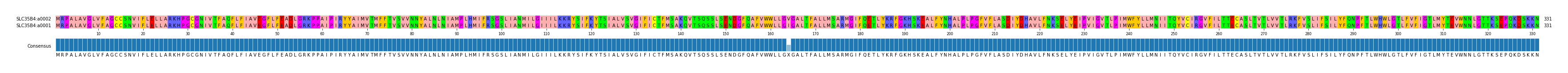 Multiple Alignments (by translate haplotype similarity)