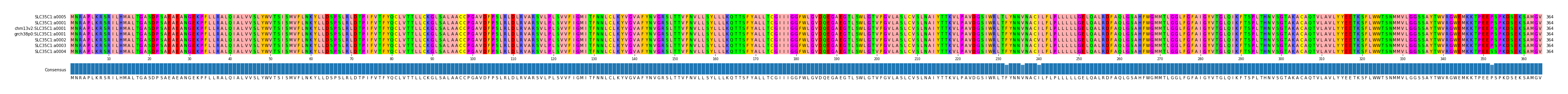 Multiple Alignments (by translate haplotype similarity)