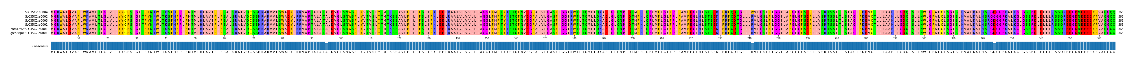 Multiple Alignments (by translate haplotype similarity)