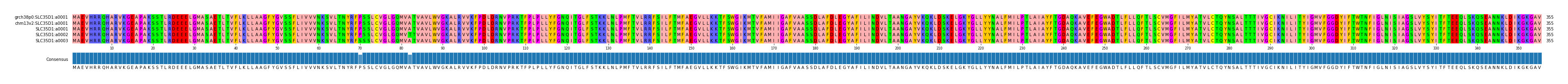 Multiple Alignments (by translate haplotype frequency)
