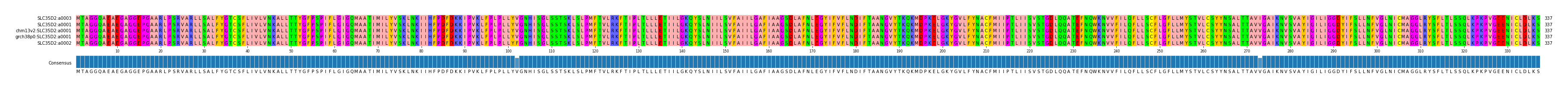 Multiple Alignments (by translate haplotype similarity)