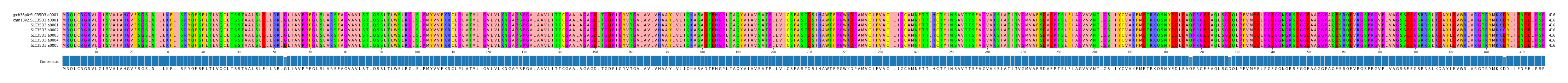 Multiple Alignments (by translate haplotype frequency)