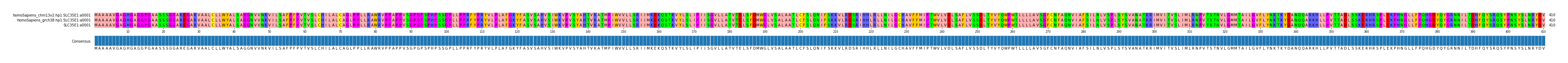 Multiple Alignments (by translate haplotype similarity)