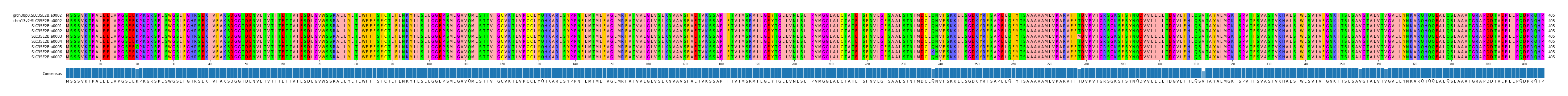 Multiple Alignments (by translate haplotype frequency)