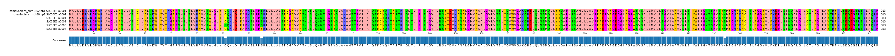 Multiple Alignments (by translate haplotype frequency)