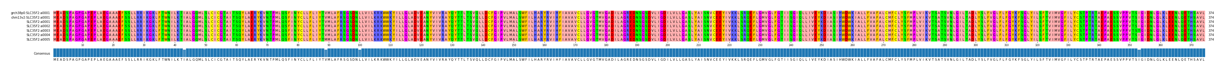 Multiple Alignments (by translate haplotype frequency)