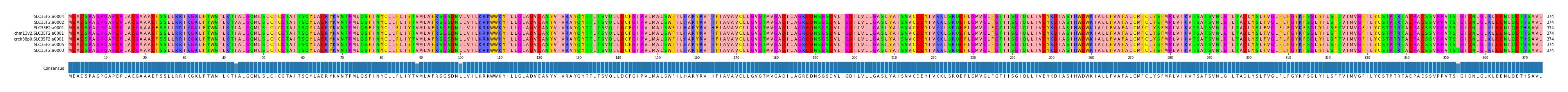 Multiple Alignments (by translate haplotype similarity)
