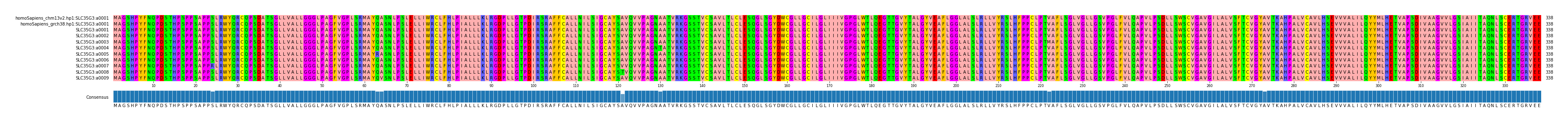 Multiple Alignments (by translate haplotype frequency)