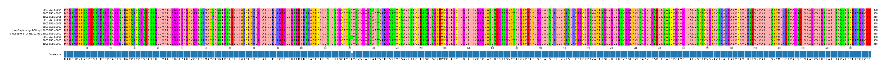 Multiple Alignments (by translate haplotype similarity)