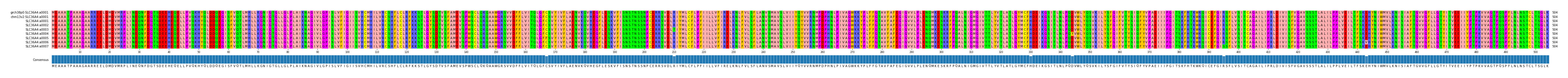 Multiple Alignments (by translate haplotype frequency)