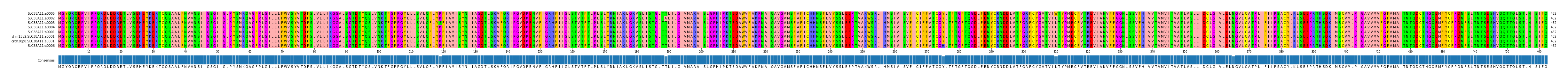 Multiple Alignments (by translate haplotype similarity)
