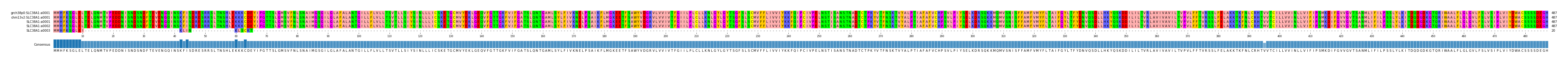 Multiple Alignments (by translate haplotype similarity)