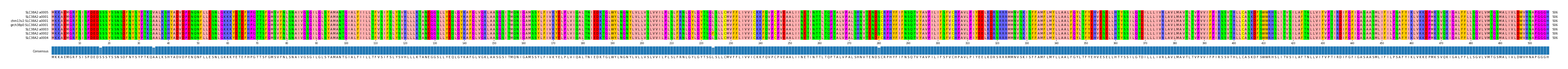 Multiple Alignments (by translate haplotype similarity)