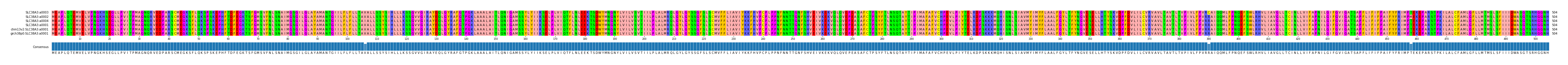 Multiple Alignments (by translate haplotype similarity)
