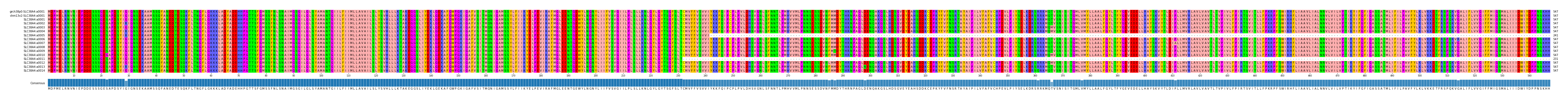 Multiple Alignments (by translate haplotype frequency)