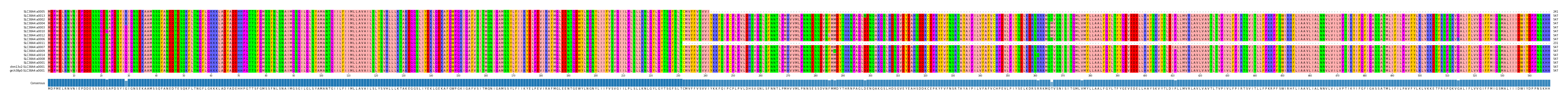 Multiple Alignments (by translate haplotype similarity)