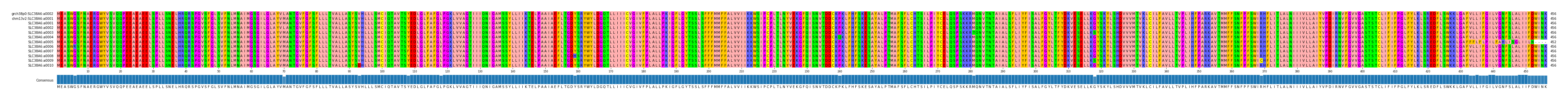 Multiple Alignments (by translate haplotype frequency)