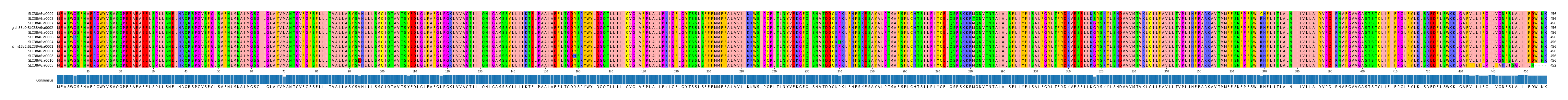 Multiple Alignments (by translate haplotype similarity)