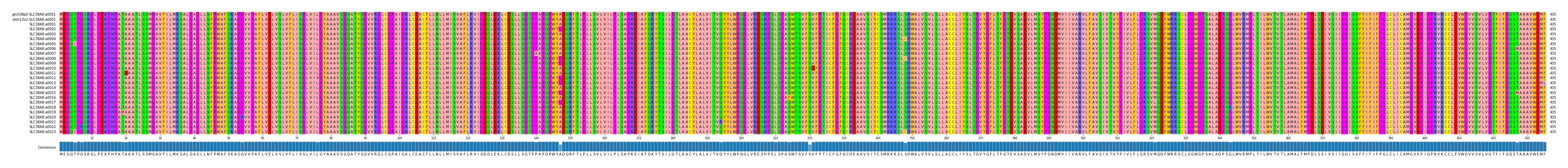 Multiple Alignments (by translate haplotype frequency)