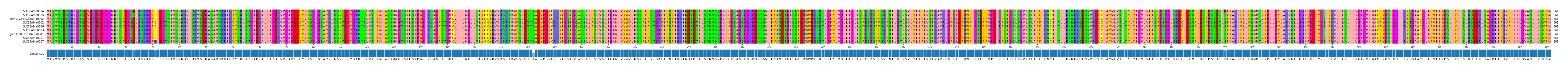 Multiple Alignments (by translate haplotype similarity)