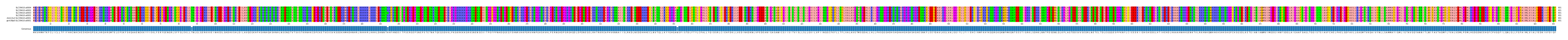 Multiple Alignments (by translate haplotype similarity)