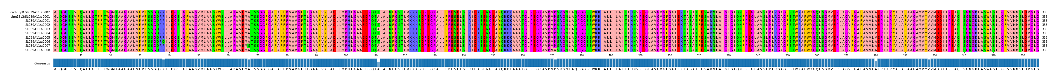 Multiple Alignments (by translate haplotype frequency)