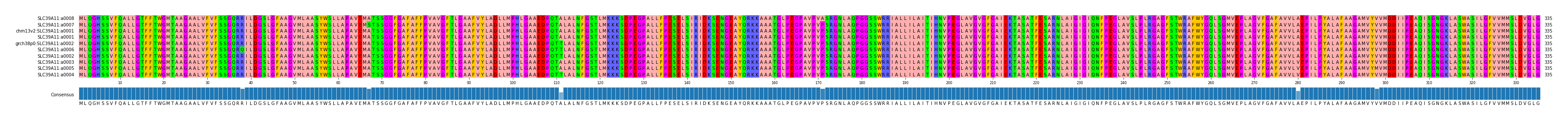 Multiple Alignments (by translate haplotype similarity)