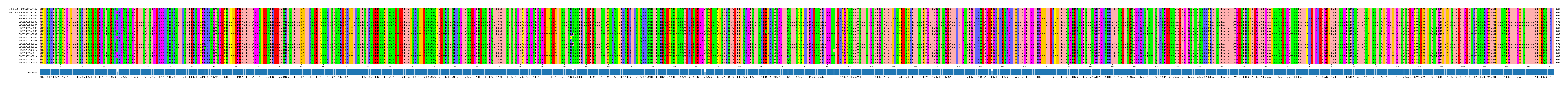 Multiple Alignments (by translate haplotype frequency)