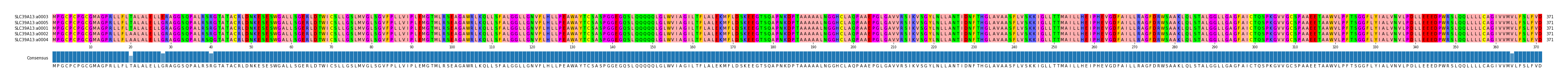 Multiple Alignments (by translate haplotype similarity)