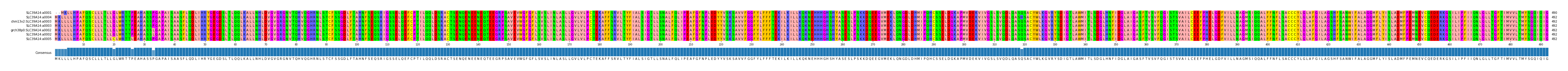 Multiple Alignments (by translate haplotype similarity)