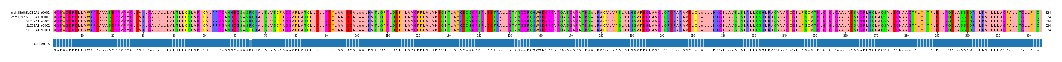 Multiple Alignments (by translate haplotype frequency)