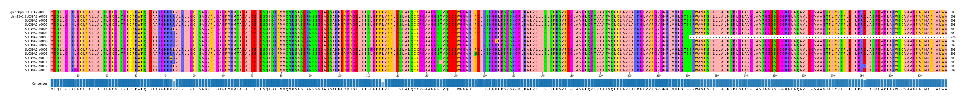 Multiple Alignments (by translate haplotype frequency)