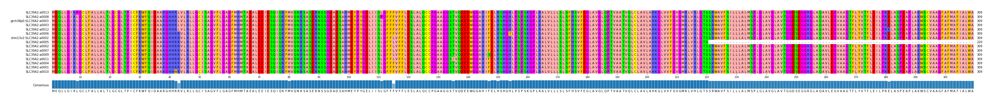 Multiple Alignments (by translate haplotype similarity)