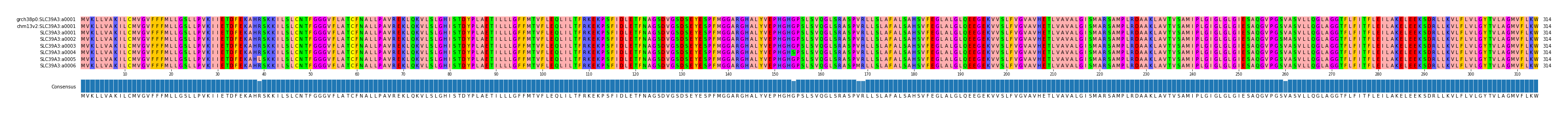 Multiple Alignments (by translate haplotype frequency)