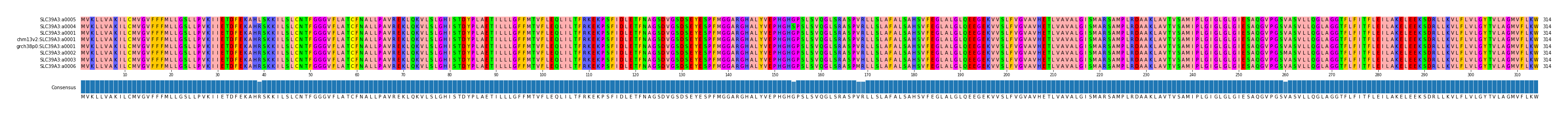 Multiple Alignments (by translate haplotype similarity)