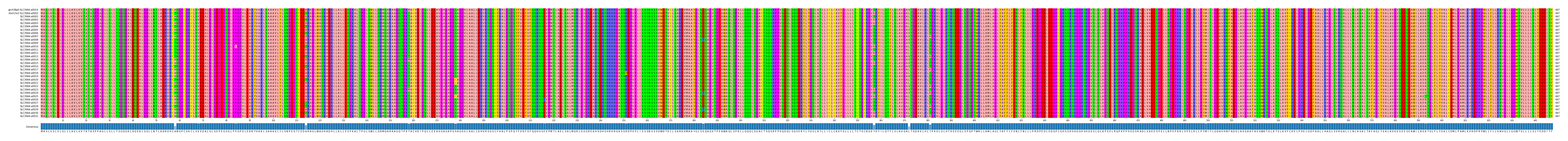 Multiple Alignments (by translate haplotype frequency)