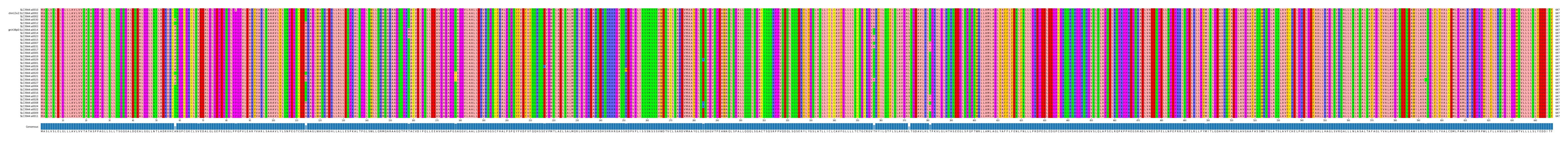 Multiple Alignments (by translate haplotype similarity)