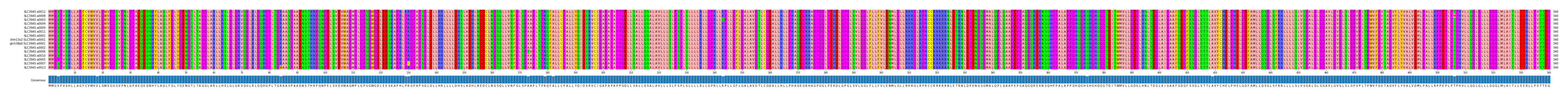 Multiple Alignments (by translate haplotype similarity)