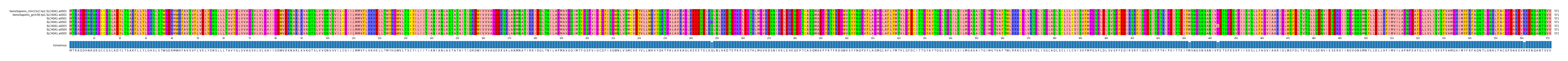 Multiple Alignments (by translate haplotype frequency)