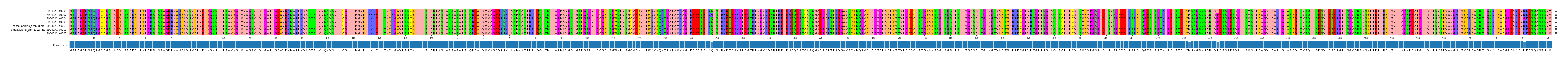 Multiple Alignments (by translate haplotype similarity)