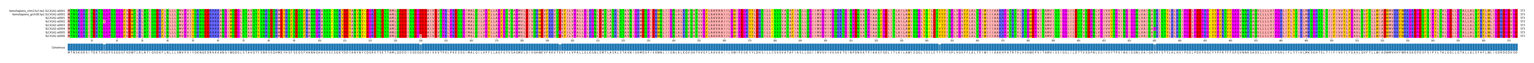 Multiple Alignments (by translate haplotype frequency)