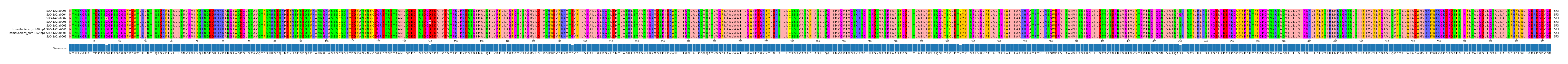 Multiple Alignments (by translate haplotype similarity)