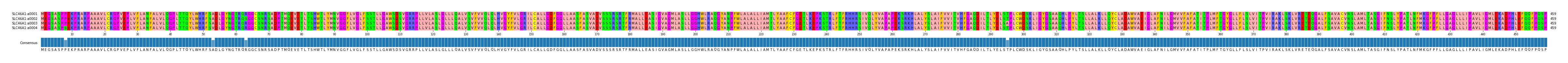Multiple Alignments (by translate haplotype frequency)